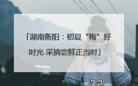 湖南衡阳：初夏“梅”好时光 采摘尝鲜正当时