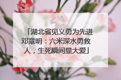 湖北省见义勇为先进邓章明：六米深水勇救人，生死瞬间显大爱