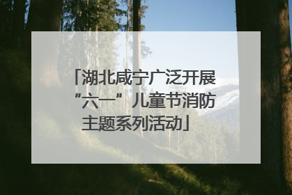 湖北咸宁广泛开展“六一”儿童节消防主题系列活动