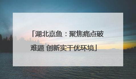 湖北嘉鱼：聚焦痛点破难题 创新实干优环境