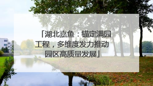 湖北嘉鱼：锚定满园工程，多维度发力推动园区高质量发展