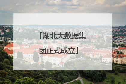 湖北大数据集团正式成立