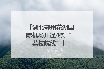湖北鄂州花湖国际机场开通4条“荔枝航线”