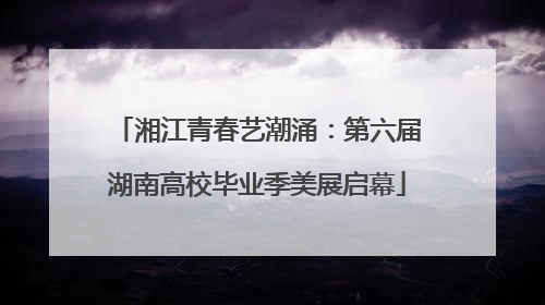 湘江青春艺潮涌：第六届湖南高校毕业季美展启幕