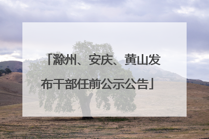滁州、安庆、黄山发布干部任前公示公告