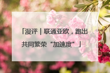 漫评｜联通亚欧，跑出共同繁荣“加速度”