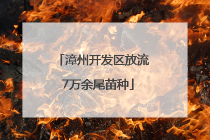 漳州开发区放流7万余尾苗种