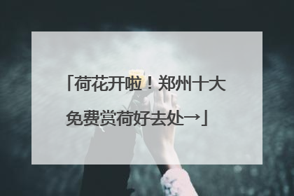 荷花开啦！郑州十大免费赏荷好去处→