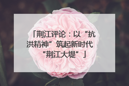 荆江评论：以“抗洪精神”筑起新时代“荆江大堤”