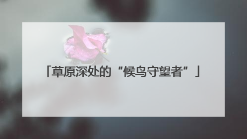 草原深处的“候鸟守望者”