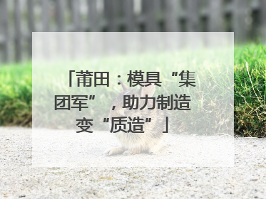 莆田：模具“集团军”，助力制造变“质造”