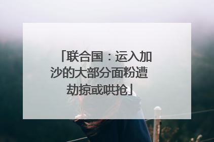 联合国：运入加沙的大部分面粉遭劫掠或哄抢