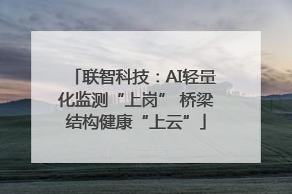 联智科技：AI轻量化监测“上岗” 桥梁结构健康“上云”