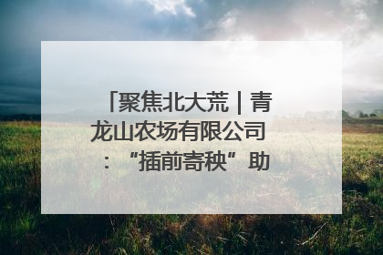 聚焦北大荒｜青龙山农场有限公司：“插前寄秧”助力农业节本增效