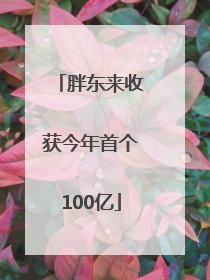 胖东来收获今年首个100亿