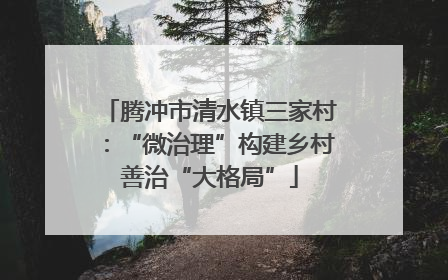 腾冲市清水镇三家村：“微治理”构建乡村善治“大格局”