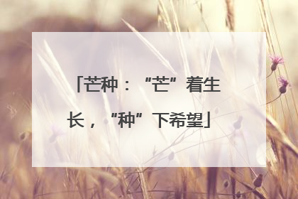 芒种：“芒”着生长，“种”下希望