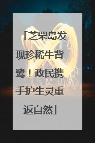 芝罘岛发现珍稀牛背鹭！政民携手护生灵重返自然