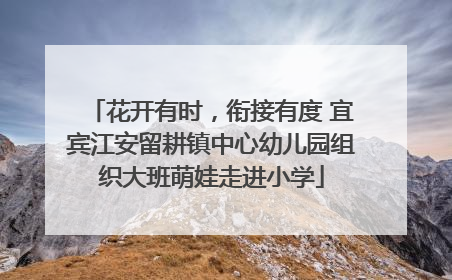 花开有时，衔接有度 宜宾江安留耕镇中心幼儿园组织大班萌娃走进小学