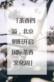 茶香四溢，北京朝阳开启国际茶香文化周