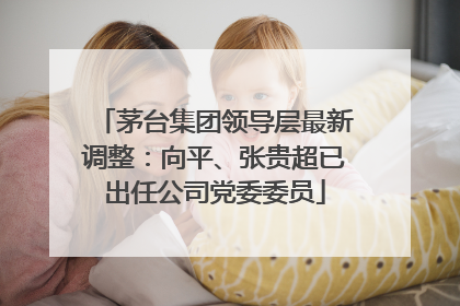 茅台集团领导层最新调整：向平、张贵超已出任公司党委委员