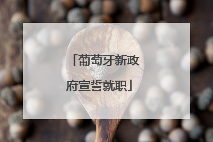 葡萄牙新政府宣誓就职