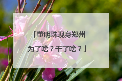 董明珠现身郑州 为了啥？干了啥？