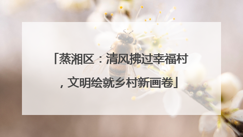 蒸湘区：清风拂过幸福村，文明绘就乡村新画卷