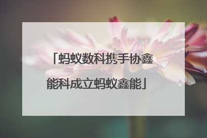 蚂蚁数科携手协鑫能科成立蚂蚁鑫能