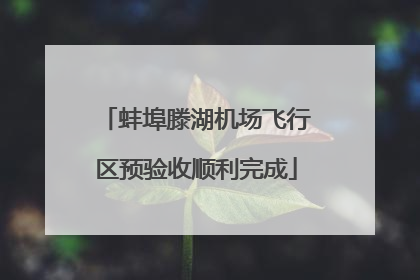 蚌埠滕湖机场飞行区预验收顺利完成