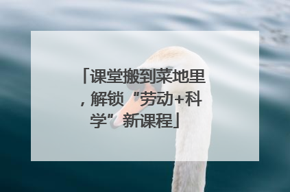 课堂搬到菜地里，解锁“劳动+科学”新课程