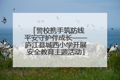警校携手筑防线 平安守护伴成长——庐江县城西小学开展安全教育主题活动