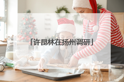 许昆林在扬州调研