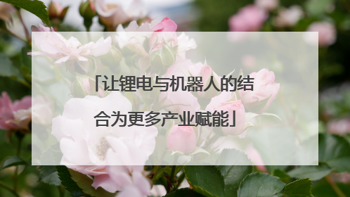让锂电与机器人的结合为更多产业赋能