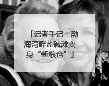 记者手记：渤海湾畔盐碱滩变身“新粮仓”