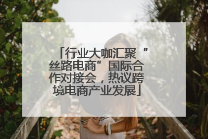行业大咖汇聚“丝路电商”国际合作对接会，热议跨境电商产业发展