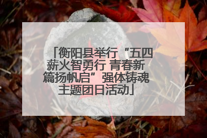 衡阳县举行“五四薪火智勇行 青春新篇扬帆启”强体铸魂主题团日活动