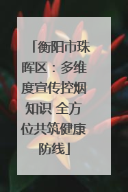 衡阳市珠晖区：多维度宣传控烟知识 全方位共筑健康防线