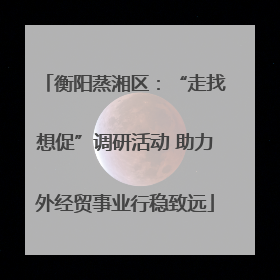 衡阳蒸湘区：“走找想促”调研活动 助力外经贸事业行稳致远