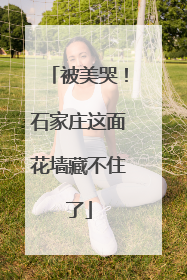 被美哭！石家庄这面花墙藏不住了