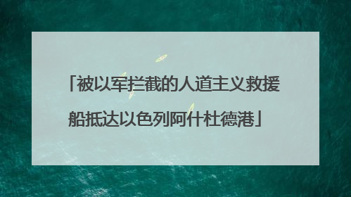 被以军拦截的人道主义救援船抵达以色列阿什杜德港