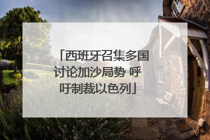 西班牙召集多国讨论加沙局势 呼吁制裁以色列
