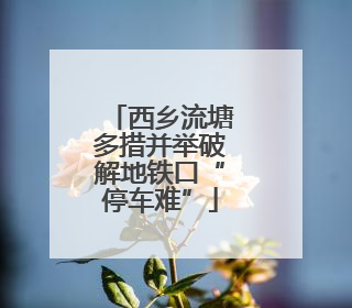 西乡流塘多措并举破解地铁口“停车难”