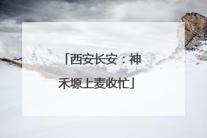 西安长安：神禾塬上麦收忙