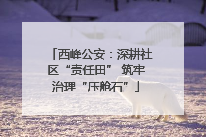 西峰公安：深耕社区“责任田” 筑牢治理“压舱石”