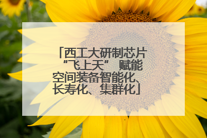 西工大研制芯片“飞上天” 赋能空间装备智能化、长寿化、集群化