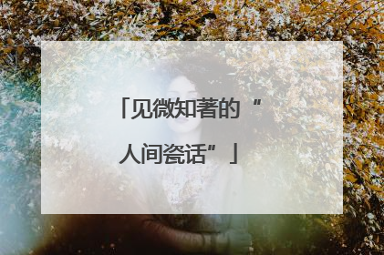 见微知著的“人间瓷话”
