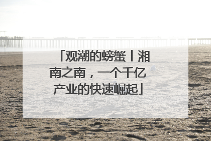 观潮的螃蟹丨湘南之南，一个千亿产业的快速崛起