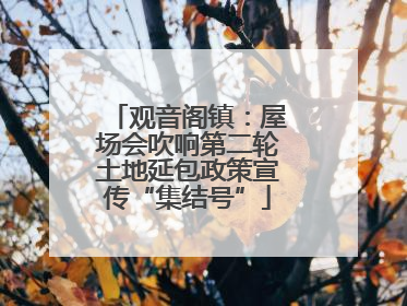 观音阁镇：屋场会吹响第二轮土地延包政策宣传“集结号”