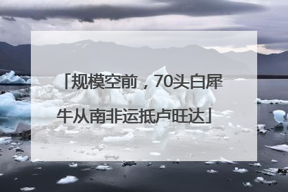 规模空前，70头白犀牛从南非运抵卢旺达